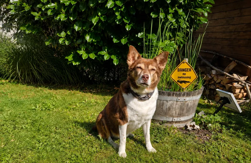 Sally genießt die Sonne – manchmal zeigen kleine Veränderungen im Alltag mehr als jede Theorie. 🐾
