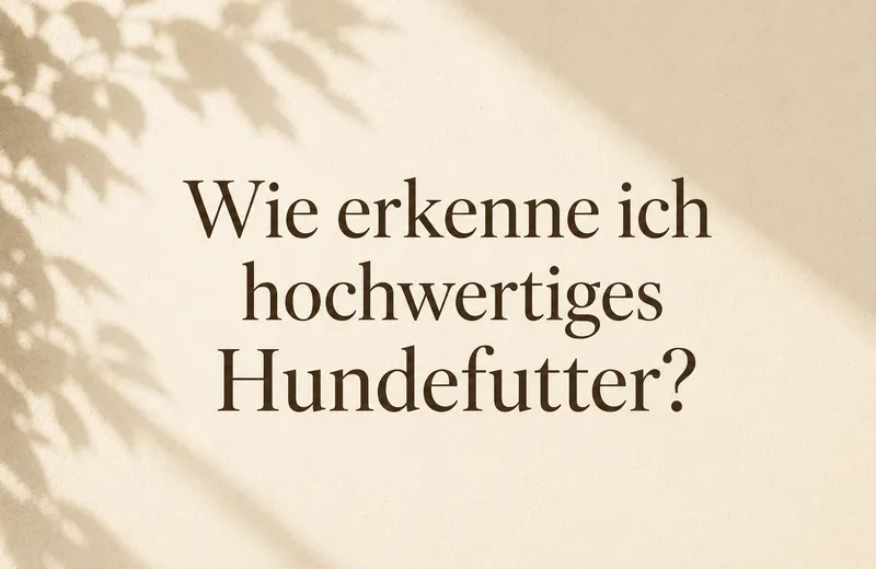 Wie erkenne ich hochwertiges Hundefutter? Schau nicht auf die Vorderseite.