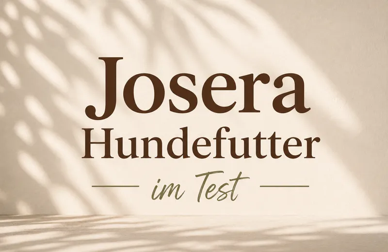 Josera Hundefutter im Test: Wie gut ist es wirklich?
