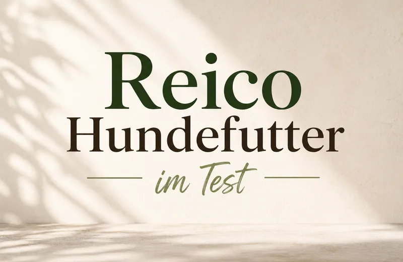 Reico Hundefutter im Test – Erfahrungen, Inhaltsstoffe, Vorteile und Nachteile