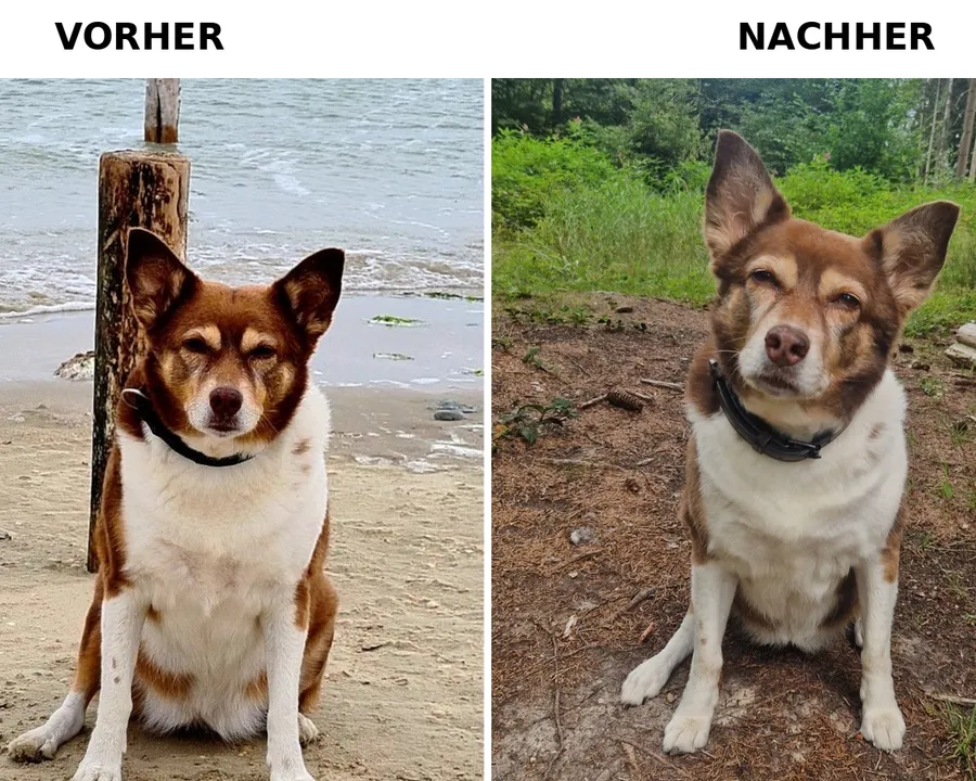 Wie konnte ich das nicht sehen?