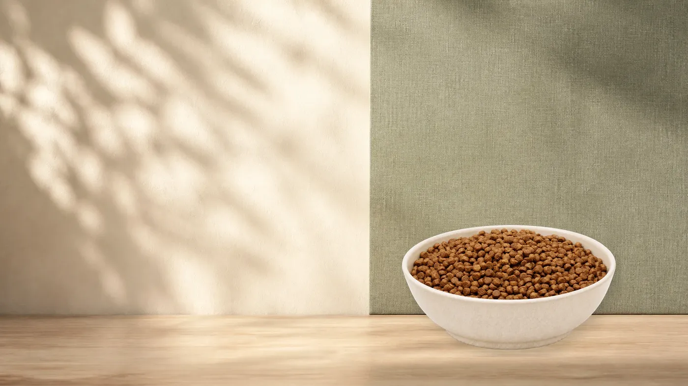 MAXiCAT Premium – Futterdarstellung in der hellen Tierfuttervital-Schale in ruhiger Salbei- und Naturstein-Kulisse.