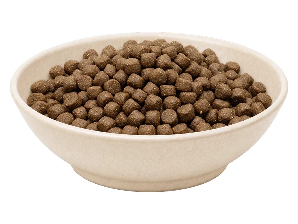 MAXiDOG Allround Energy, 7,5 kg – Futterdarstellung in der hellen Tierfuttervital-Schale, freigestellt auf transparentem Hintergrund.