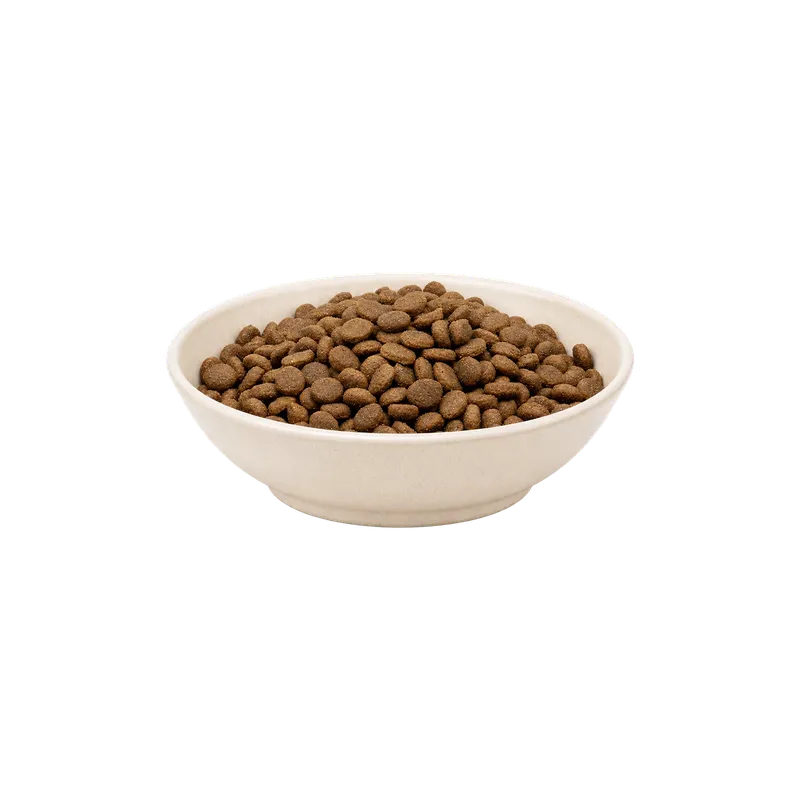 MAXiDOG Allround Athletic – Futterdarstellung in der hellen Tierfuttervital-Schale, freigestellt auf transparentem Hintergrund.