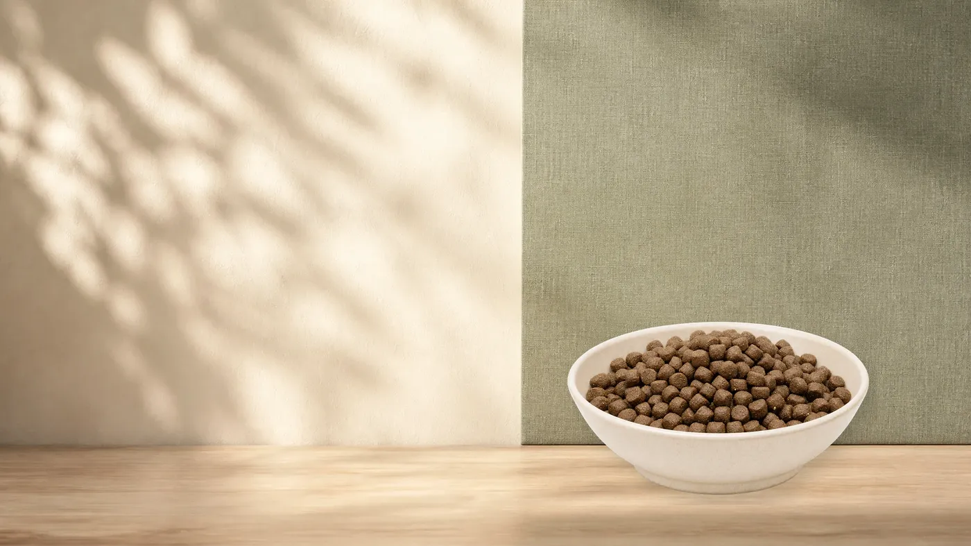 MAXiDOG Allround Energy, 7,5 kg – Futterdarstellung in der hellen Tierfuttervital-Schale in ruhiger Salbei- und Naturstein-Kulisse.
