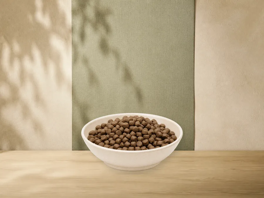 MAXiDOG Allround Energy, 7,5 kg – offizielle Futterdarstellung in der hellen, flachen Tierfuttervital-Keramikschale für Trockenfutter für Hunde.