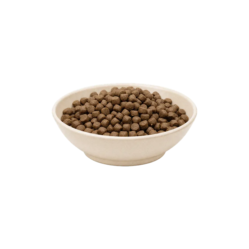 MAXiDOG Allround Energy, 7,5 kg – Futterdarstellung in der hellen Tierfuttervital-Schale, freigestellt auf transparentem Hintergrund.