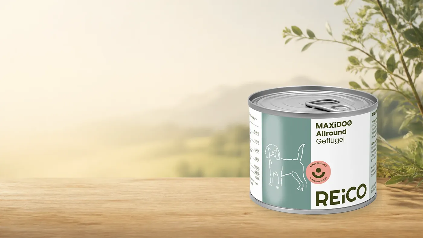 MAXiDOG Allround Geflügel – offizielles REiCO Produktmotiv in warmer Naturkulisse mit heller Holzfläche.