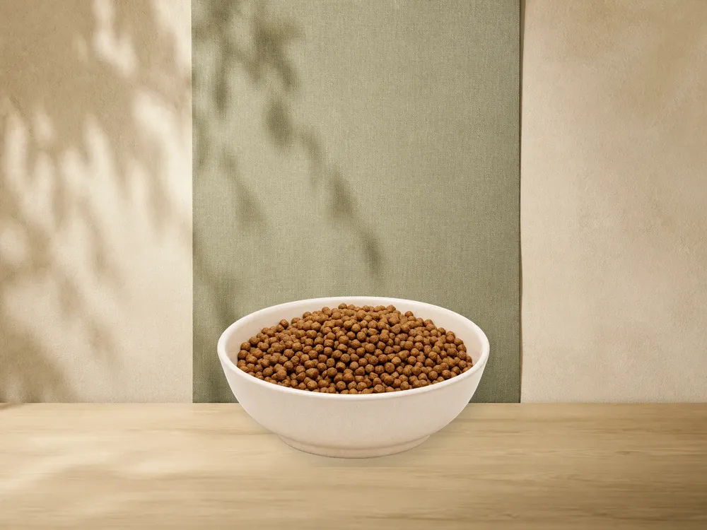 MAXiDOG Allround Junior – offizielle Futterdarstellung in der hellen, flachen Tierfuttervital-Keramikschale für Trockenfutter für Hunde.