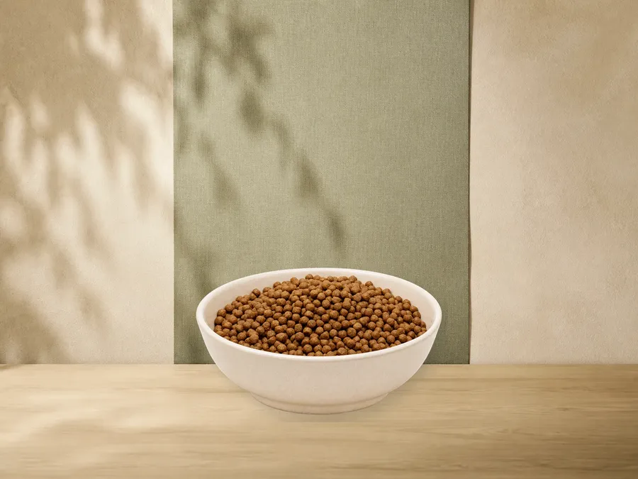 MAXiDOG Allround Junior – offizielle Futterdarstellung in der hellen, flachen Tierfuttervital-Keramikschale für Trockenfutter für Hunde.