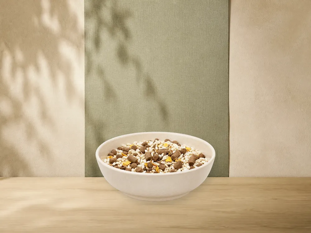 MAXiDOG Allround Rind Lamm Reis, 10 kg als Kategorie-Vorschau mit illustrativen Hinweisen auf Rind, Lamm, Reis; offizielles Produktmotiv für Trockenfutter für Hunde.