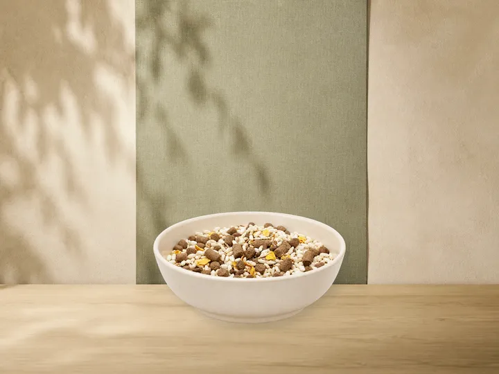 MAXiDOG Allround Rind Lamm Reis, 10 kg als Kategorie-Vorschau mit illustrativen Hinweisen auf Rind, Lamm, Reis; offizielles Produktmotiv für Trockenfutter für Hunde.