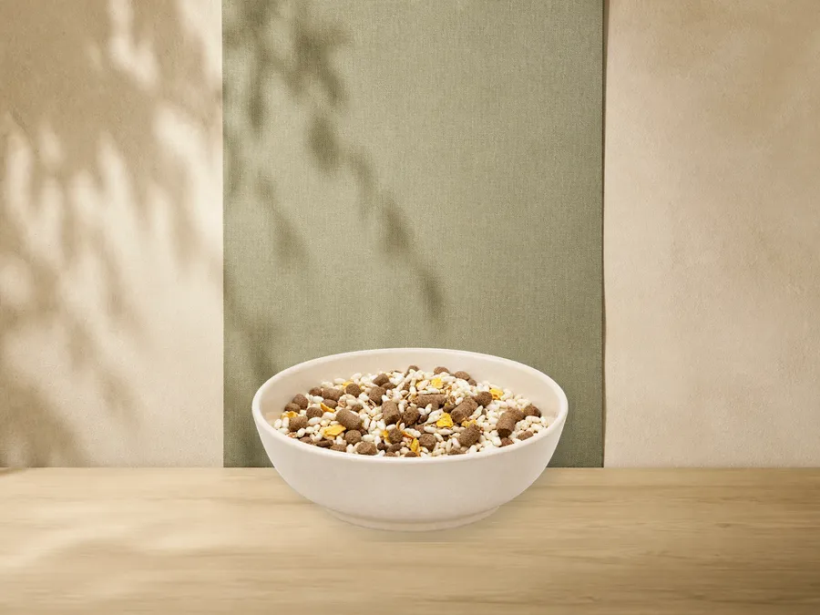 MAXiDOG Allround Rind Lamm Reis, 10 kg als Kategorie-Vorschau mit illustrativen Hinweisen auf Rind, Lamm, Reis; offizielles Produktmotiv für Trockenfutter für Hunde.
