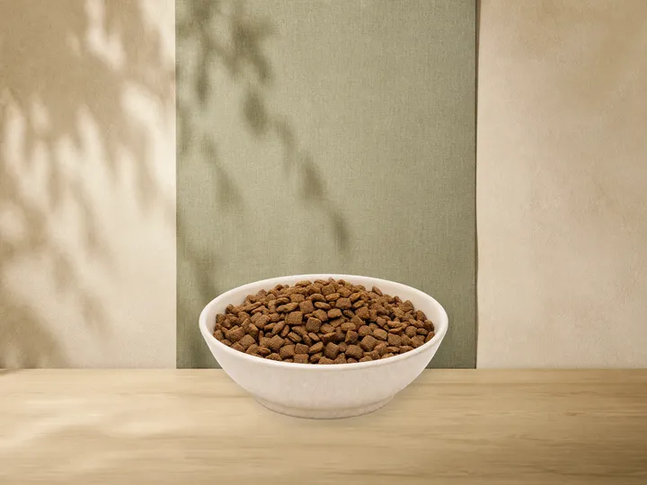 MAXiDOG Allround Wellness – offizielle Futterdarstellung in der hellen, flachen Tierfuttervital-Keramikschale für Trockenfutter für Hunde.