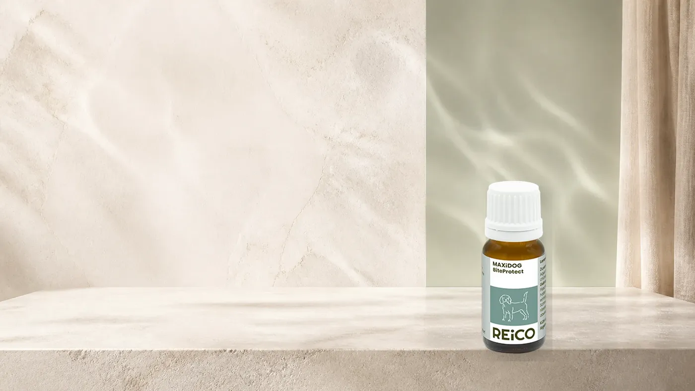 MAXiDOG BiteProtect, 10 ml – offizielles REiCO Produktmotiv in heller, natürlicher Pflegekulisse.