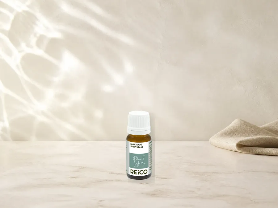 MAXiDOG BiteProtect, 10 ml – offizielles REiCO Produktmotiv für Pflegeprodukte für Hunde.