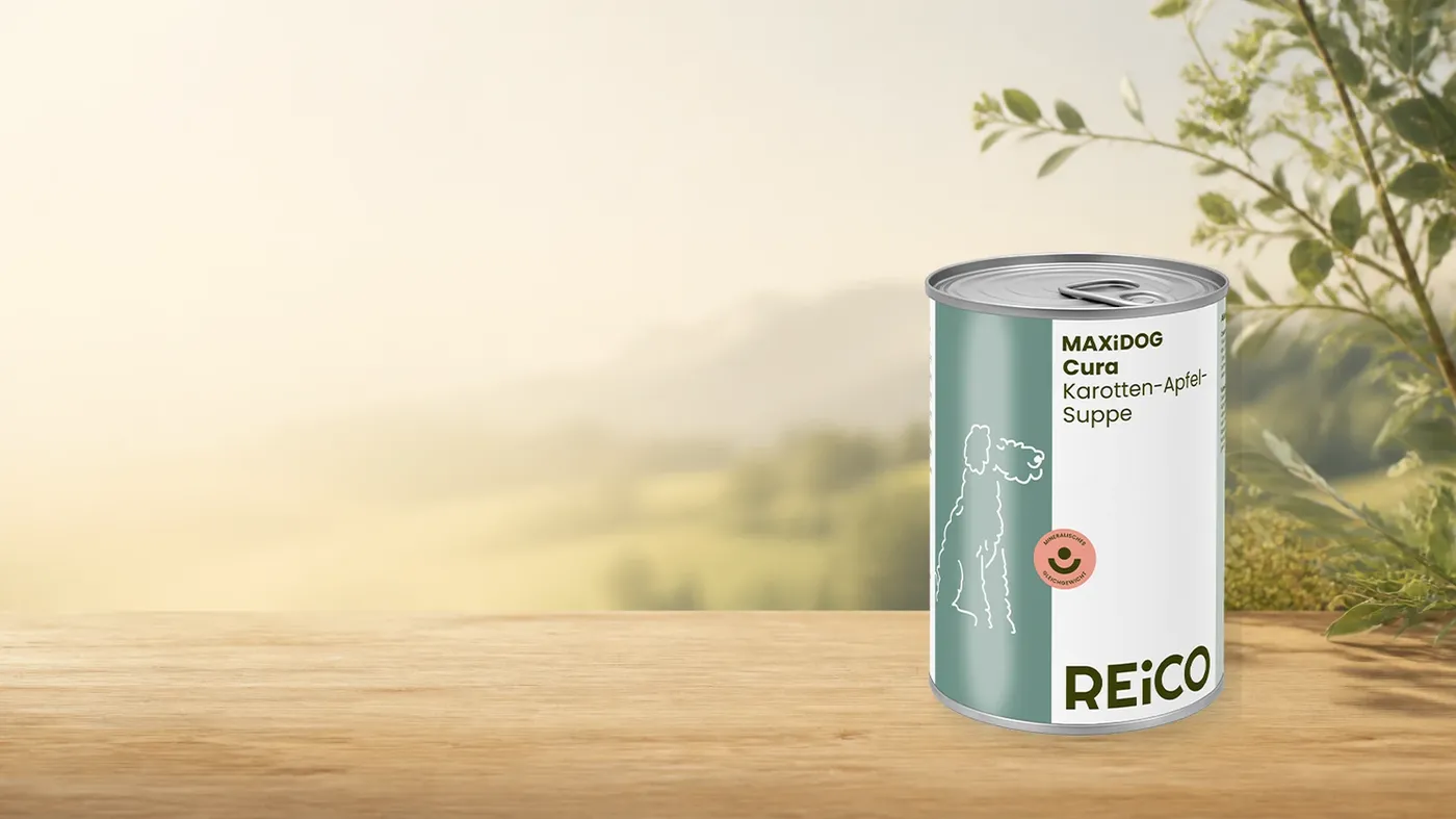 MAXiDOG Cura Karotten-Apfel-Suppe, 400 g – offizielles REiCO Produktmotiv in warmer Naturkulisse mit heller Holzfläche.