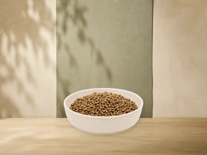 MAXiDOG Cura Sensiv – offizielle Futterdarstellung in der hellen, flachen Tierfuttervital-Keramikschale für Trockenfutter für Hunde.
