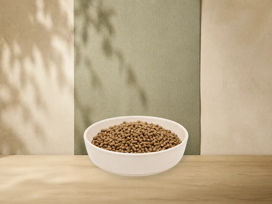 MAXiDOG Cura Sensiv – offizielle Futterdarstellung in der hellen, flachen Tierfuttervital-Keramikschale für Trockenfutter für Hunde.