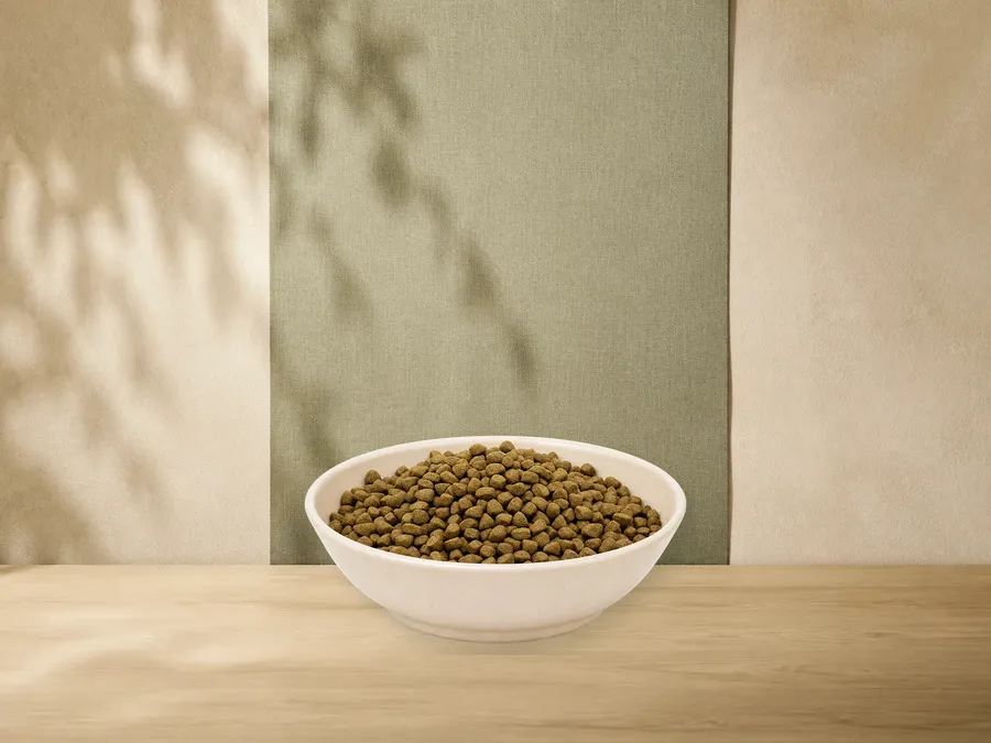 MAXiDOG Pura Dynamic – offizielle Futterdarstellung in der hellen, flachen Tierfuttervital-Keramikschale für Trockenfutter für Hunde.