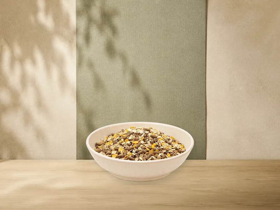 MAXiDOG Pura Fleischmix – offizielle Futterdarstellung in der hellen, flachen Tierfuttervital-Keramikschale für Trockenfutter für Hunde.