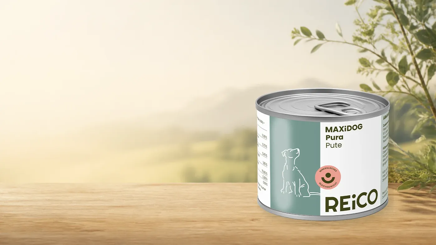 MAXiDOG Pura Pute – offizielles REiCO Produktmotiv in warmer Naturkulisse mit heller Holzfläche.