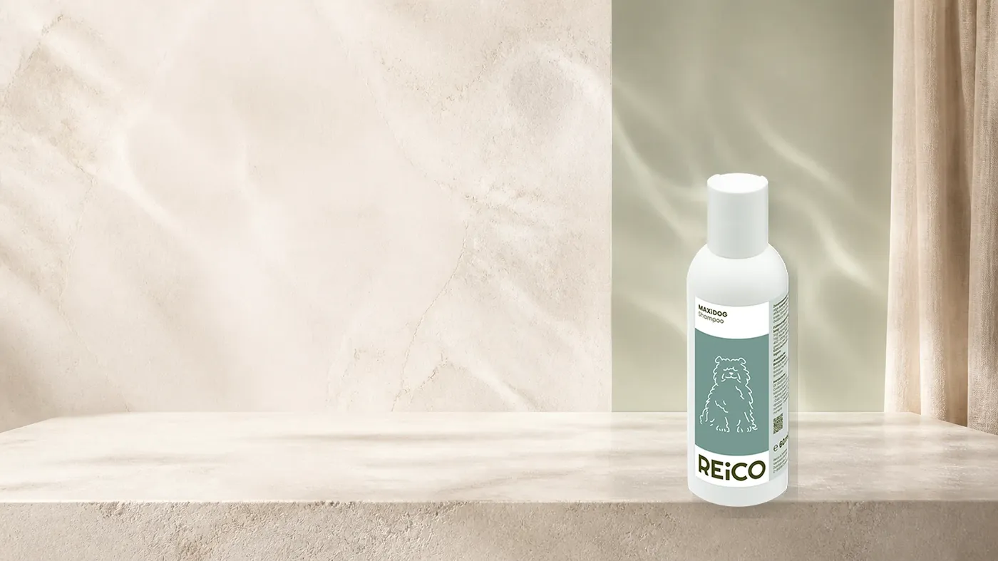 MAXiDOG Shampoo, 200 ml – offizielles REiCO Produktmotiv in heller, natürlicher Pflegekulisse.