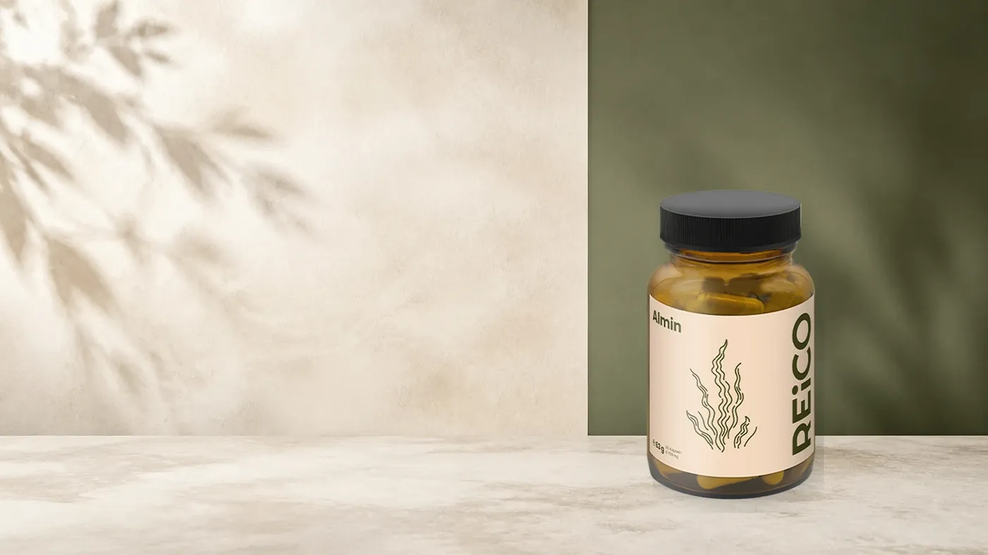 REiCO Almin, 90 Stück – offizielles REiCO Produktmotiv in ruhiger Salbei- und Naturstein-Kulisse.