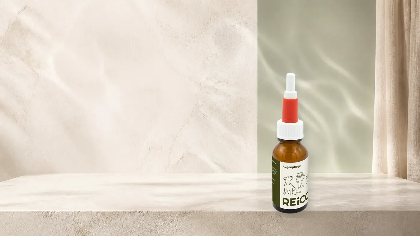 REiCO Augenpflege, 20 ml – offizielles REiCO Produktmotiv in heller, natürlicher Pflegekulisse.