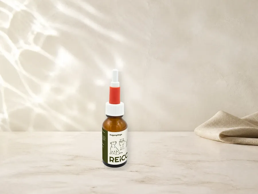 REiCO Augenpflege, 20 ml – offizielles REiCO Produktmotiv für Pflegeprodukte für Hunde.