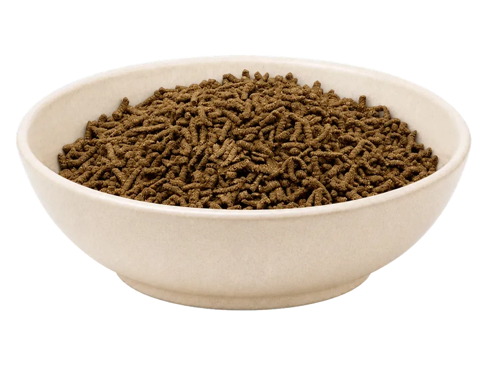 REiCO Bronho - Vital, 1 kg – Futterdarstellung in der hellen Tierfuttervital-Schale, freigestellt auf transparentem Hintergrund.