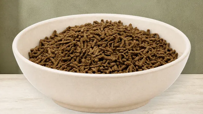 REiCO Bronho - Vital, 1 kg – offizielle Futterdarstellung in der hellen, flachen Tierfuttervital-Keramikschale für Ergänzungsfutter für Pferde.