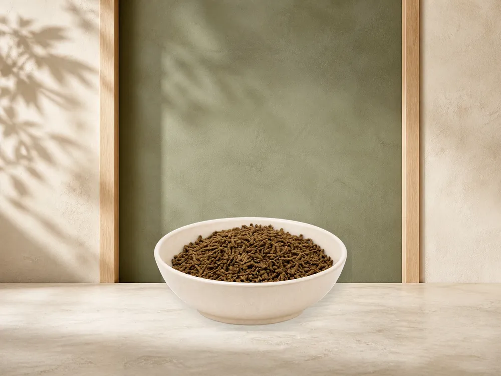 REiCO Bronho - Vital, 1 kg – offizielle Futterdarstellung in der hellen, flachen Tierfuttervital-Keramikschale für Ergänzungsfutter für Pferde.