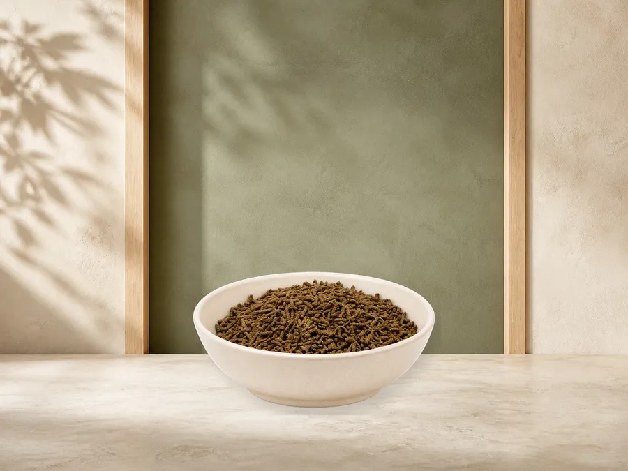 REiCO Bronho - Vital, 1 kg – offizielle Futterdarstellung in der hellen, flachen Tierfuttervital-Keramikschale für Ergänzungsfutter für Pferde.