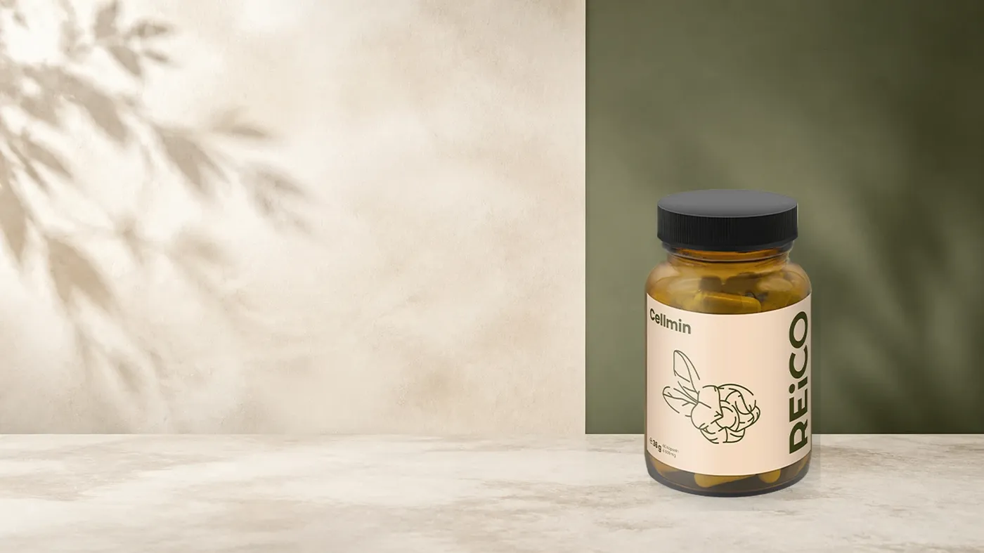 REiCO Cellmin, 90 Stück – offizielles REiCO Produktmotiv in ruhiger Salbei- und Naturstein-Kulisse.