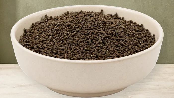 REiCO Dam - Vital – offizielle Futterdarstellung in der hellen, flachen Tierfuttervital-Keramikschale für Ergänzungsfutter für Pferde.