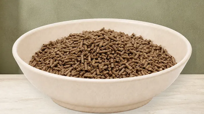 REiCO Ezem/Mauk Vital, 10 kg – offizielle Futterdarstellung in der hellen, flachen Tierfuttervital-Keramikschale für Ergänzungsfutter für Pferde.
