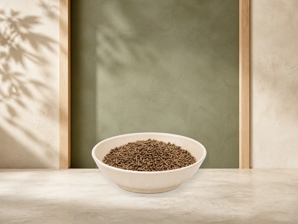REiCO Ezem/Mauk Vital, 10 kg – offizielle Futterdarstellung in der hellen, flachen Tierfuttervital-Keramikschale für Ergänzungsfutter für Pferde.