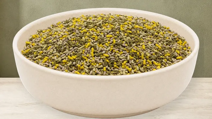 REiCO Haut/Huf - Vital, 1,5 kg – offizielle Futterdarstellung in der hellen, flachen Tierfuttervital-Keramikschale für Ergänzungsfutter für Pferde.