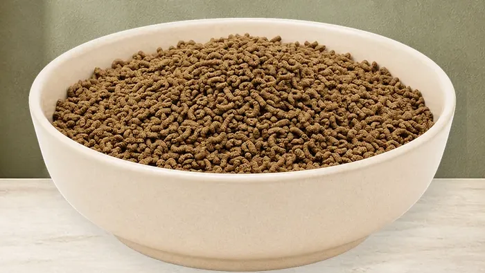 REiCO Lebe - Vital – offizielle Futterdarstellung in der hellen, flachen Tierfuttervital-Keramikschale für Ergänzungsfutter für Pferde.