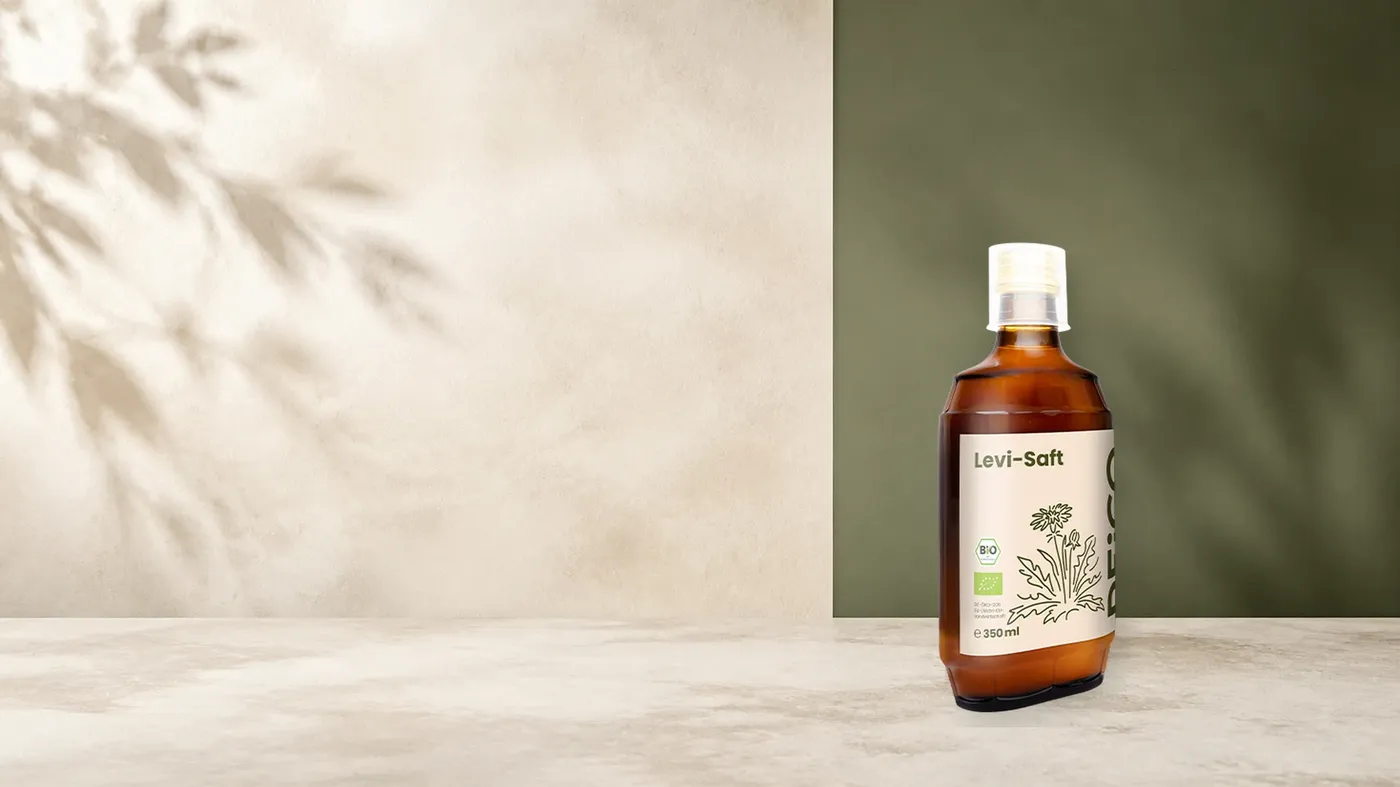 REiCO Levi-Saft, 350 ml – offizielles REiCO Produktmotiv in ruhiger Salbei- und Naturstein-Kulisse.