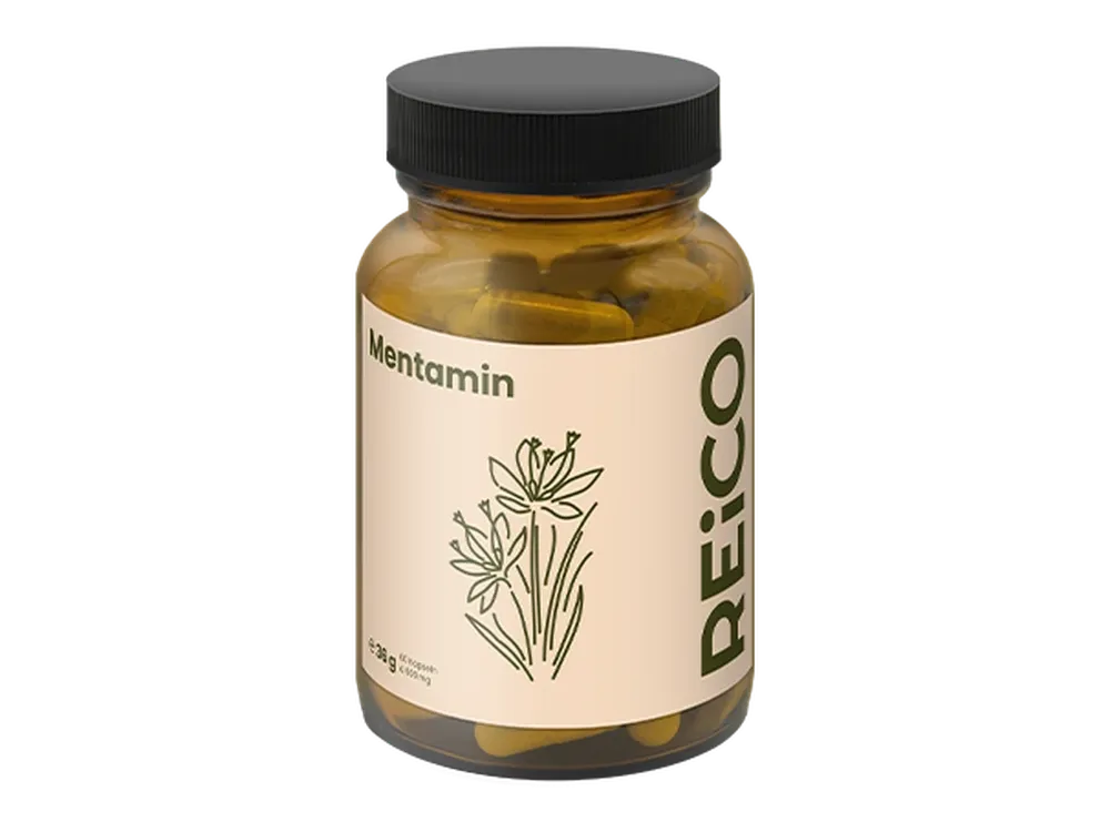 REiCO Mentamin, 60 Stück – offizielles REiCO Produktmotiv, freigestellt auf transparentem Hintergrund.