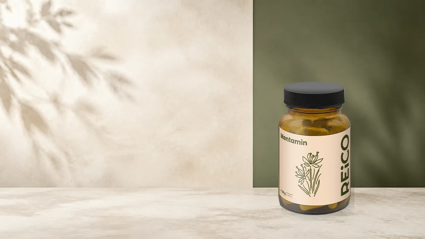 REiCO Mentamin, 60 Stück – offizielles REiCO Produktmotiv in ruhiger Salbei- und Naturstein-Kulisse.