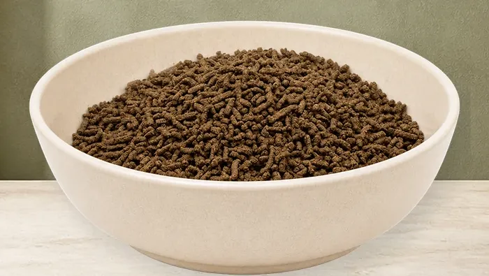 REiCO Silent - Vital, 1 kg – offizielle Futterdarstellung in der hellen, flachen Tierfuttervital-Keramikschale für Ergänzungsfutter für Pferde.