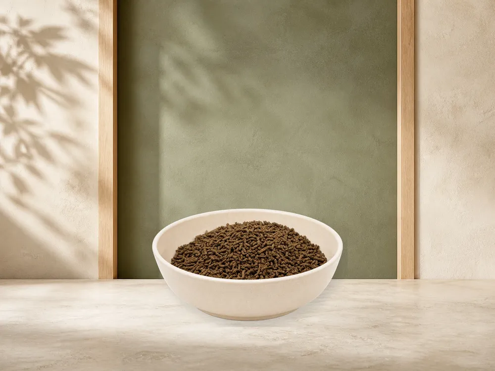 REiCO Silent - Vital, 1 kg – offizielle Futterdarstellung in der hellen, flachen Tierfuttervital-Keramikschale für Ergänzungsfutter für Pferde.