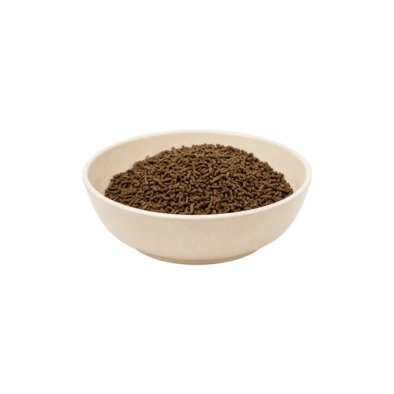 REiCO Silent - Vital, 1 kg – Futterdarstellung in der hellen Tierfuttervital-Schale, freigestellt auf transparentem Hintergrund.