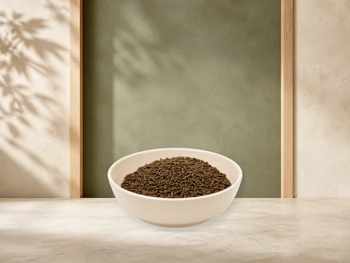 REiCO Silent - Vital, 1 kg – offizielle Futterdarstellung in der hellen, flachen Tierfuttervital-Keramikschale für Ergänzungsfutter für Pferde.