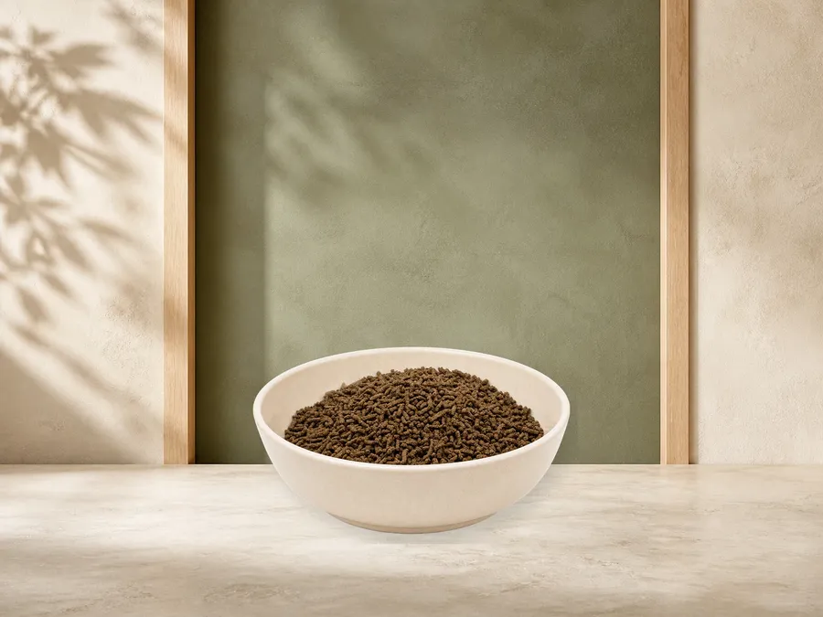 REiCO Silent - Vital, 1 kg – offizielle Futterdarstellung in der hellen, flachen Tierfuttervital-Keramikschale für Ergänzungsfutter für Pferde.