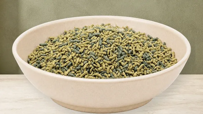 REiCO Sport - Vital, 1 kg – offizielle Futterdarstellung in der hellen, flachen Tierfuttervital-Keramikschale für Ergänzungsfutter für Pferde.