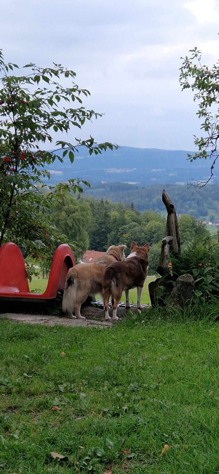 Sally_und_Angie_Blick_ins_Tal